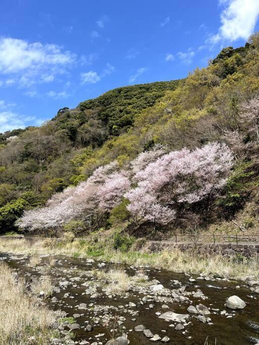 沼津戸田湾の古民家一軒貸切宿 釣り ハイキング 海水浴 ツーリングにおすすめ Exteriér fotografie